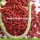 Wholesale Nutrition Dried Organic Certificated Goji