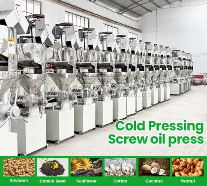 Sesame and Moringa Oil Press Machine: 6YL-160 Seed Oil Press Mill Machinery