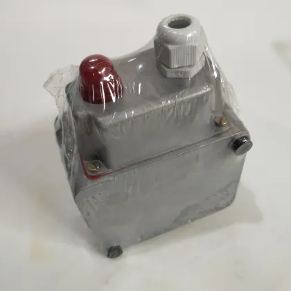 Replace Zhenyuan HED HED-3-0A-36 Pressure Switch