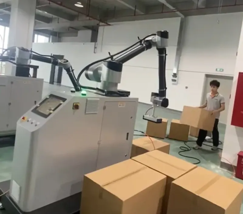 Collaborative Robots Stacking Machine Palletizer Robot for 30kg Carton