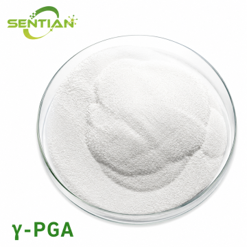 γ-PGA Poly Glutamic Acid Soil Water Retention Supplier ✅ γ-PGA for Soil Moisture & Nutrient Retention