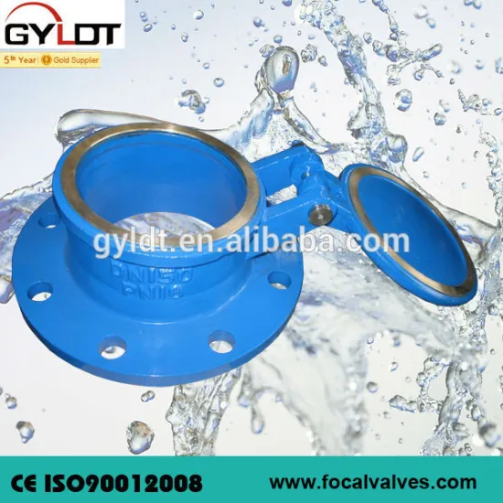 Cast Iron Swing Check Valve Flap Check Valve