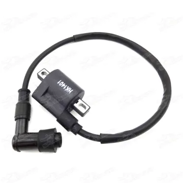 Ignition Coil For 150cc 200cc 250cc Dirt Bike ATV Quad