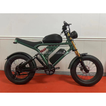 20 Inch Sports Aluminum Alloy Electric Fat Bike with Dual Batteries