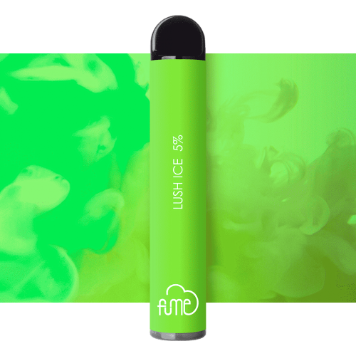 Fume de glace à menthe jetable Ultra 2500 Vape Pen