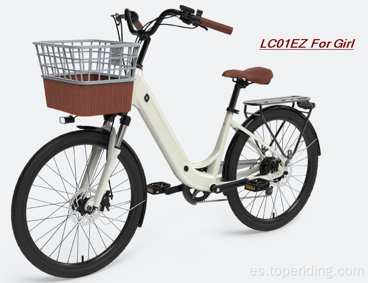 Objetivo de bicicleta personalizado de 24 pulgadas