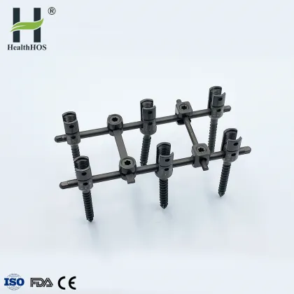 Spine implant Thoraco Lumbar vertebra fixation