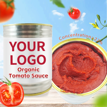 HADAY Tomato Sauce - Wholesale Ketchup, Canned Concentrate, 100% Pure Tomato Paste