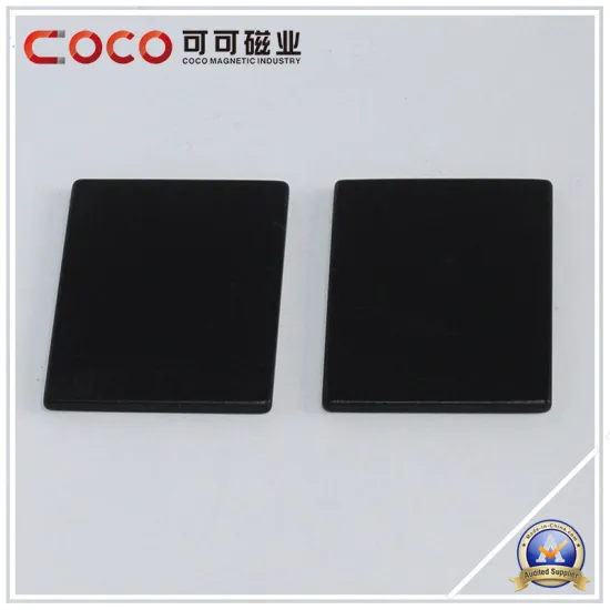 Black-Epoxy Coating Sintered NdFeB Magnetic for Servo Motor Stepper Motor, Micromotor