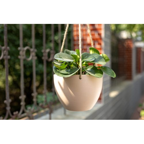 Стильный настенный керамический горшок для цветов