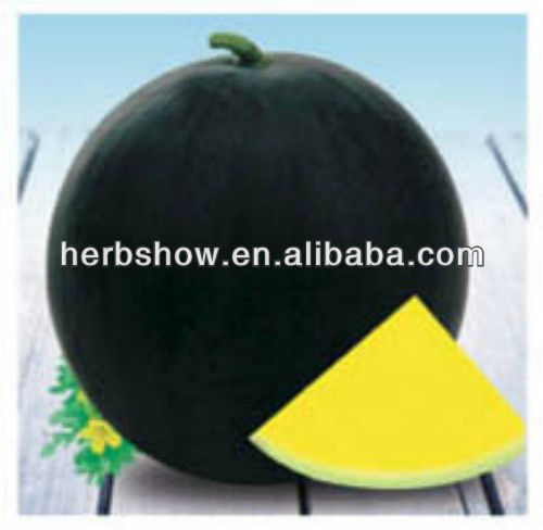 Black hybrid watermelon seed&yellow meat