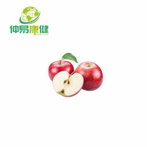 Spray Dried Fruit Powder Apple Juice Powder Instant Apple Powder Manufactory