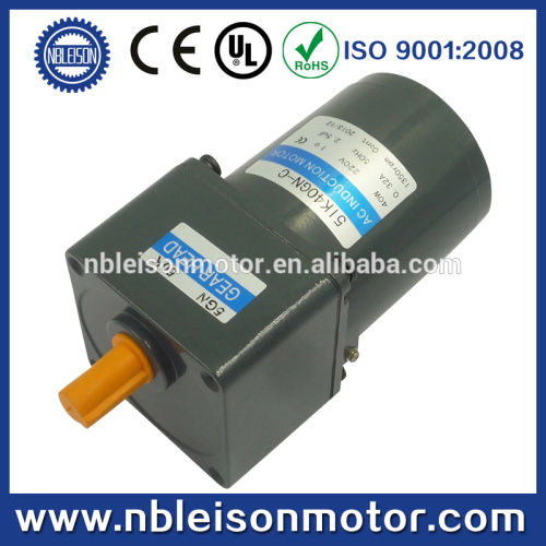 ac electric motor low speed high torque motor,110v 60hz ac electric motor