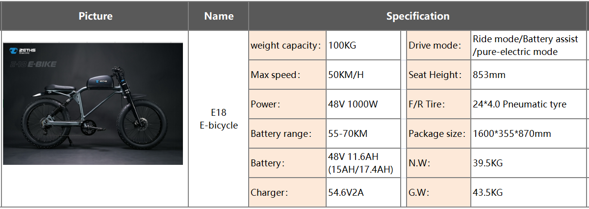 electric motobike for adult