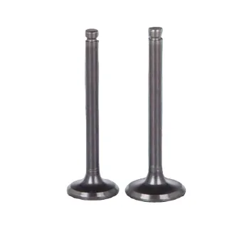 Hot Wholesale Decorative Hose Racing Seat Valves for GM Engines