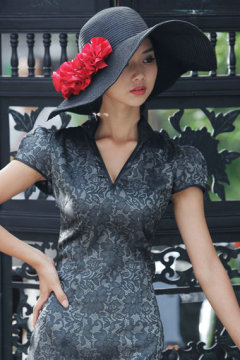Elegant Black V-neck Chenongsam