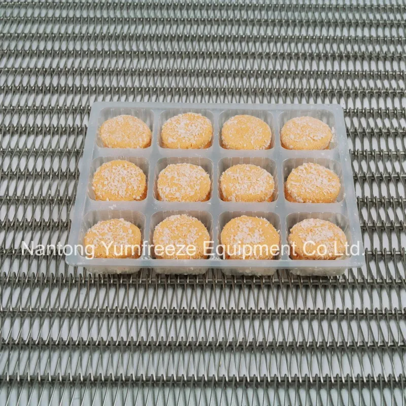 Stainless Steel 304 Spiral Wire Mesh Conveyor Belt