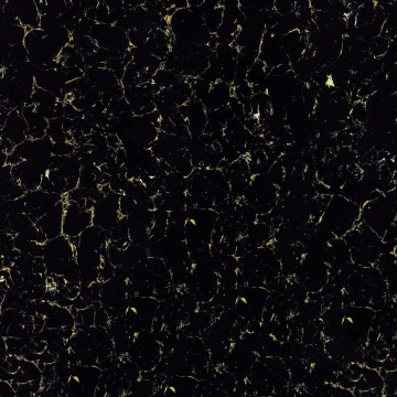 Black Pilates Polished Porcelain Building Tile