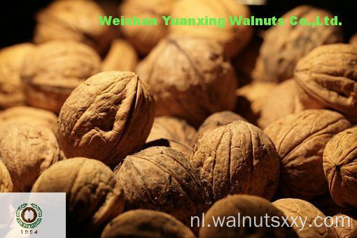 Top Grade Chinese Walnut Kernels Light Quarters