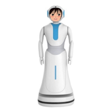 Shopping Mall and Supermarket Smart AI Robots