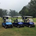 ใบรับรอง CE 2 ที่นั่ง ezgo Electric Golf Cart