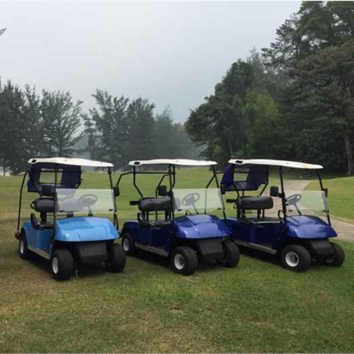 CE Certification 2 Seat ezgo Electric Golf Cart