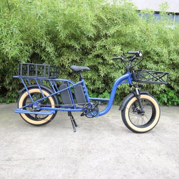 Aangepaste 2-kind Family Electric Cargo Bike: 48V 750W met dubbele batterij voor lange afstand van voedselbezorging