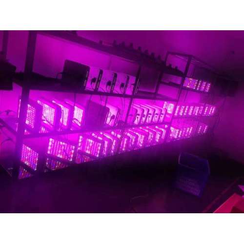 High quality 2000W growing lamp for indoor plants