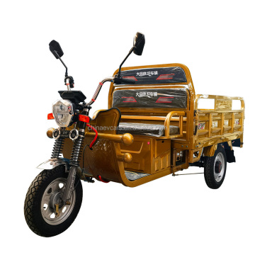OEM 60V 500kg Curb Weight Low-Speed Electric Tricycle