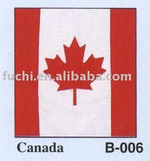 Flag Bandana