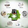 Manufactured Spearmint oil natural Hot Essential oil