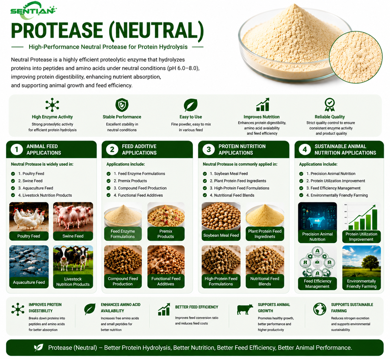 Protease (Neutral)2