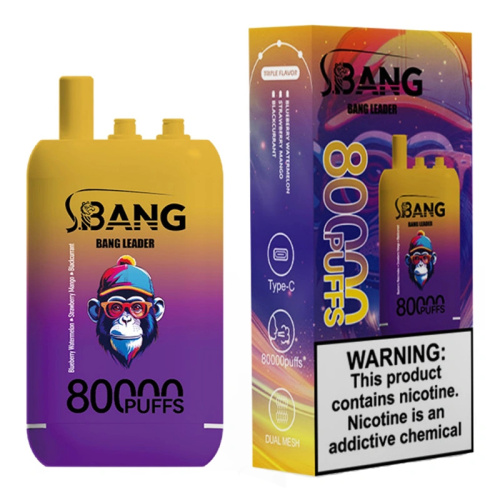 Bang Leader Vaoe 80000 Puffs 5% Salt Nic
