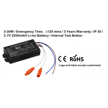 DC 20-160V CE RoHS LED Emergency Driver