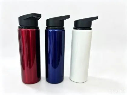 304 Single-Wall Stainless Steel Bottle with Straw