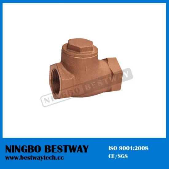 bronze non-return valve