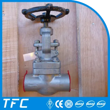 Alloy 20 API 602 socket weld globe valve