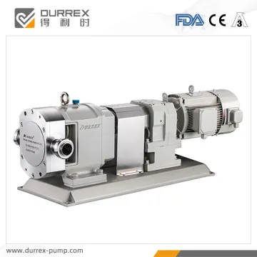 Good quality mustard transfer Rotary lobe pumps
