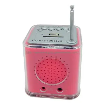 Card Music Box with FM radio