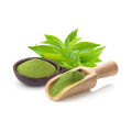 Green Tea Extract with 98 Polyphenols