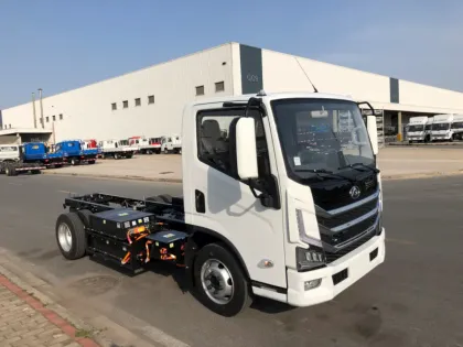 Datong EV Dump Light Cargo Electric Truck
