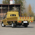 Lingshi Gold Small Truck