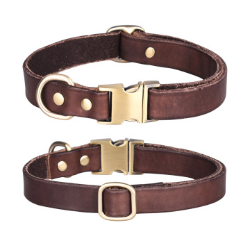 Leather Personalised Cat dog Collars