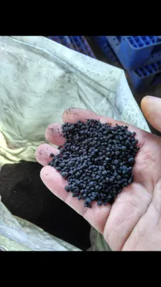 Bulk Organic Fertilizer Humic Acid Fertilizer