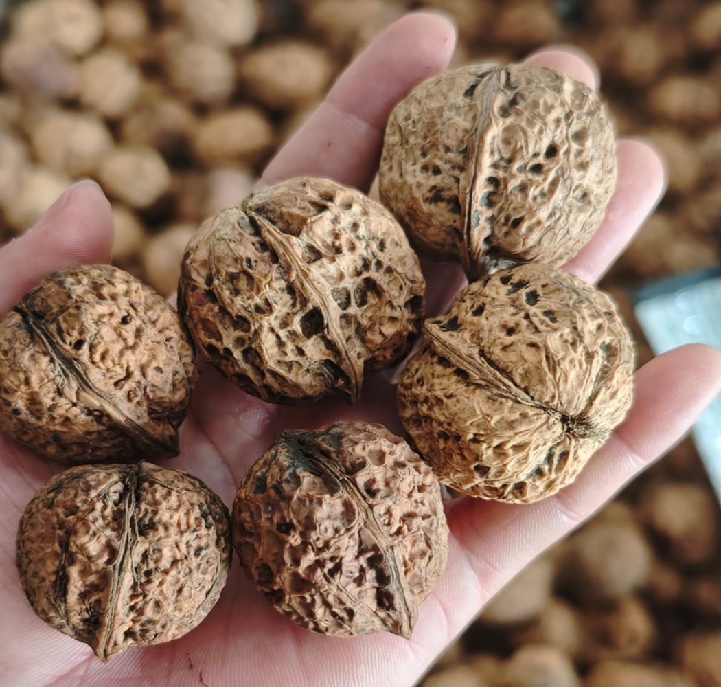Walnut Kernels