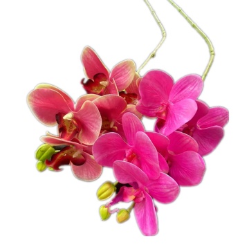 Artificial 5 Heads Butterfly Orchid Flower Branch