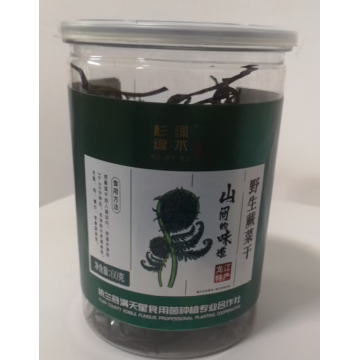 Deliciosas Samambaias Secas