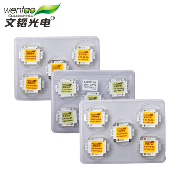 Chips LED COB COB TINGGI UNTUK Lampu Banjir - Epistar Bridgelux 30W/50W