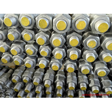 ASTM F1554 grade 55 anchor bolt with Nuts