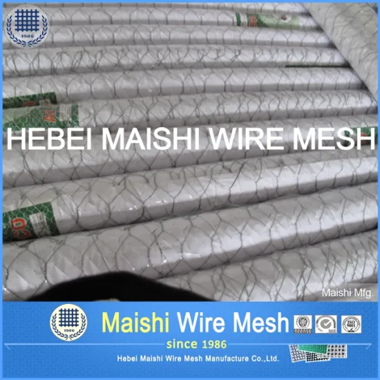 Bird netting Galvanzied/PVC coated wire netting